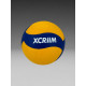 XCRIIM VOLLEYBALL