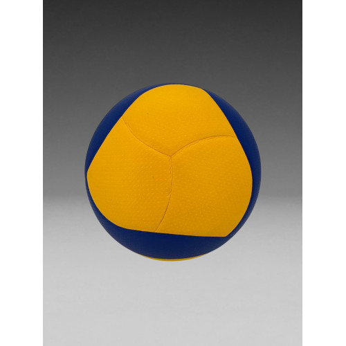 XCRIIM VOLLEYBALL