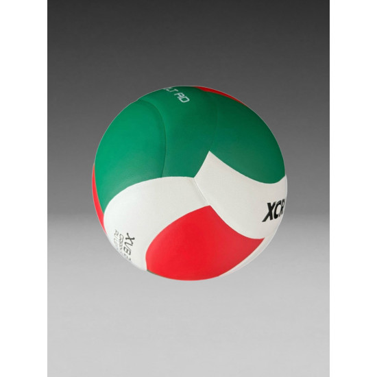 XCRIIM VOLLEYBALL - EVOLT AD (XVB202)